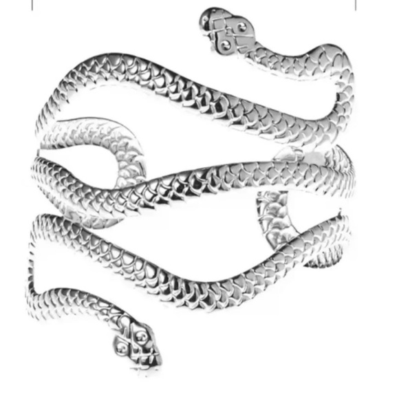 Serpenti Silver Snake Arm Bracelet - Picture 2 of 6